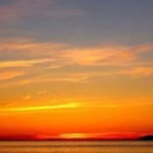 Meet your Posher, Dylan